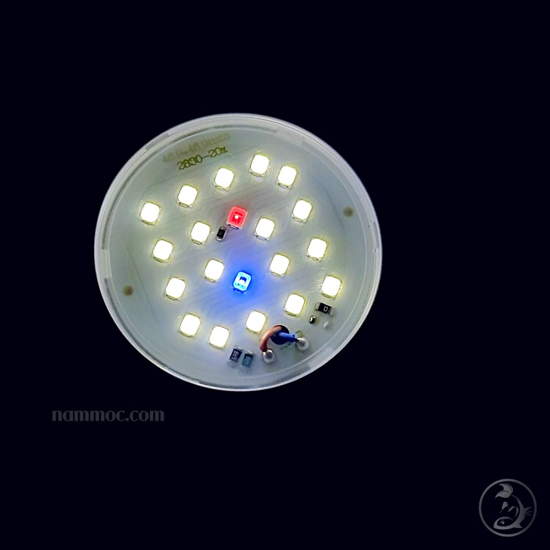 Đèn LED Mini Clip Lamp JY-25 || Led Kẹp Dùng Cho Bể Cá Mini 25cm, Chậu Cá Tròn Để Bàn