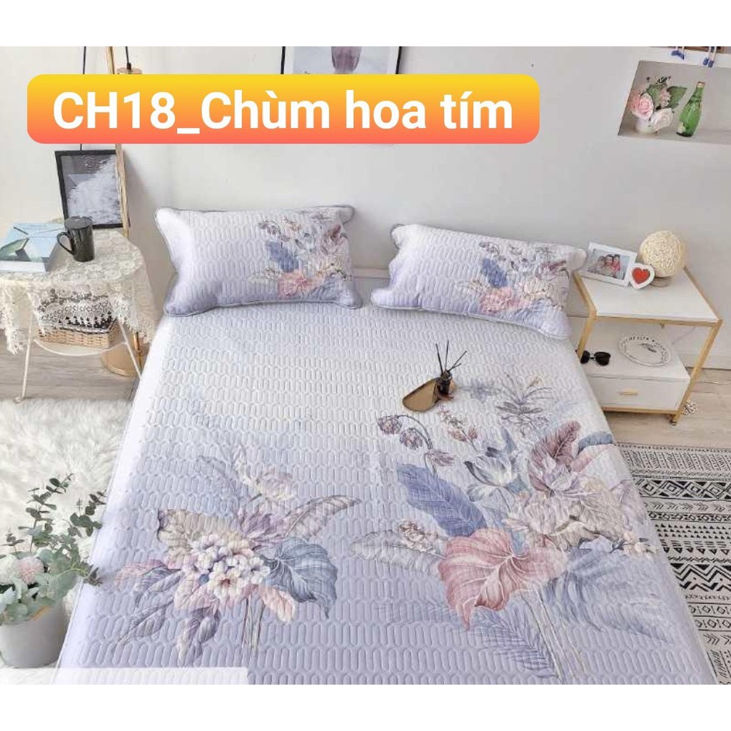 Chiếu điều hòa chiếu cao su non Boss Decor mềm mịn