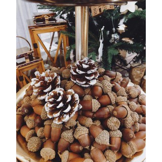 SET 10 QUẢ SỒI KHÔ TRANG TRÍ