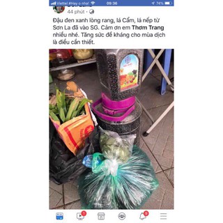 5k/c dễ trần  cẩm tím và đỏ