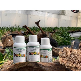 Combo 3 chai Chế phẩm vi sinh P Gro 100ml giúp cây trồng khỏe mạnh 100ml/ chai