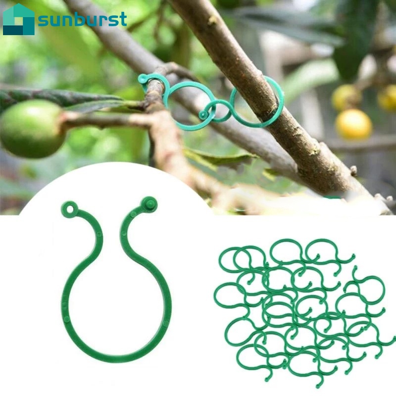 Bộ 50 Kẹp Cố Định Cành Cây