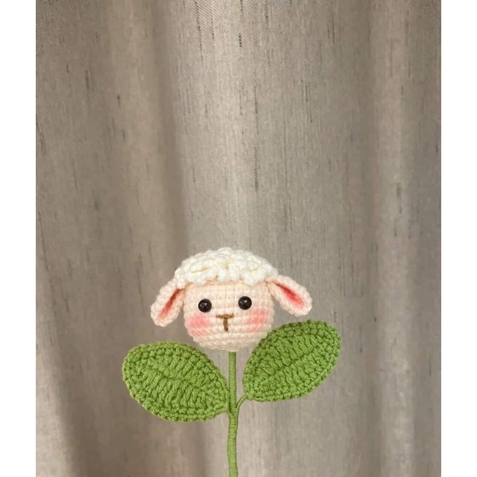 Bông hoa cừu móc len handmade