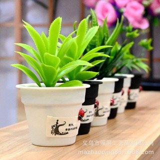 Chậu cây cảnh nhỏ mini siêu cute (Cây kèm chậu) Trang trí, cửa hàng, để bàn - Cây hoa giả