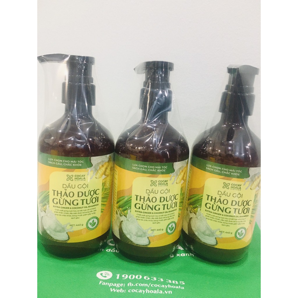 [FREESHIP] Dầu gội thảo dược gừng tươi [MẪU MỚI] Cỏ Cây Hoa Lá sạch gàu, kích thích mọc tóc, giảm gãy rụng | BigBuy360 - bigbuy360.vn