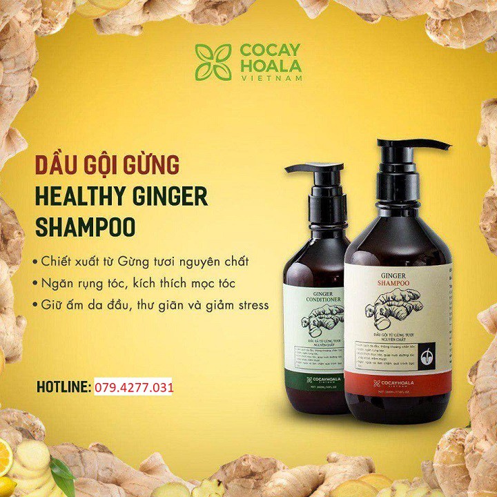 Combo dầu gội và dầu xả Gừng Cỏ cây hoa lá