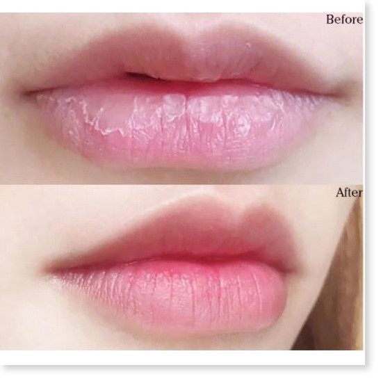 [Khuyến mãi Mỹ phẩm chính hãng] Son Dưỡng Môi Dưỡng Ẩm Ngừa Thâm Môi Hiệu Quả DHC Extra Moisture Lip Cream 1.5g