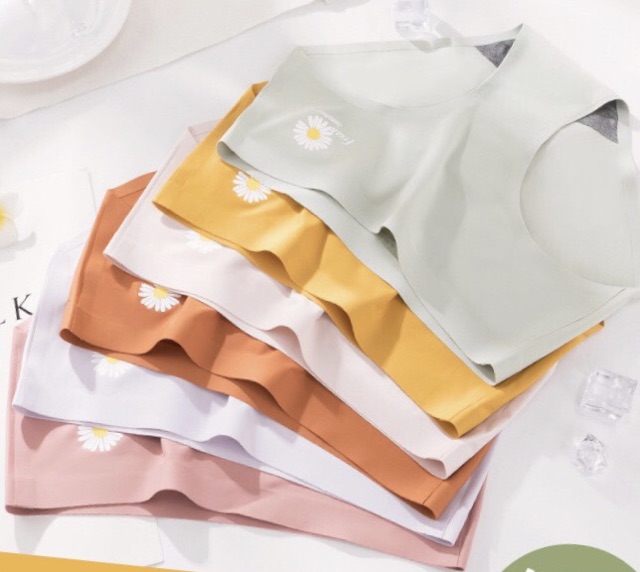 Quần Lót Nữ Kháng Khuẩn Hoa Cúc