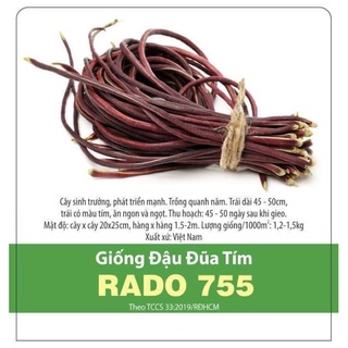 Hạt Giống đậu đũa tím 755