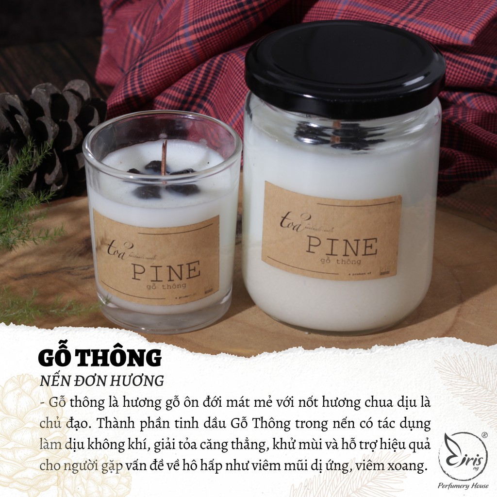 Nến đơn hương Gỗ Thông | Tỏa Handmade Candle