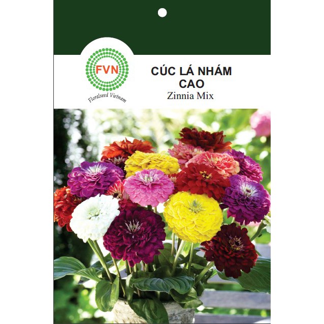 HẠT GIỐNG HOA CÚC LÁ NHÁM CAO NHIỀU MÀU FVN GÓI 15 HẠT - ZINNIA MIX