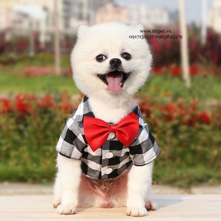 Áo Sơ Mi Cho Thú Cưng Siêu Cưng ♥️