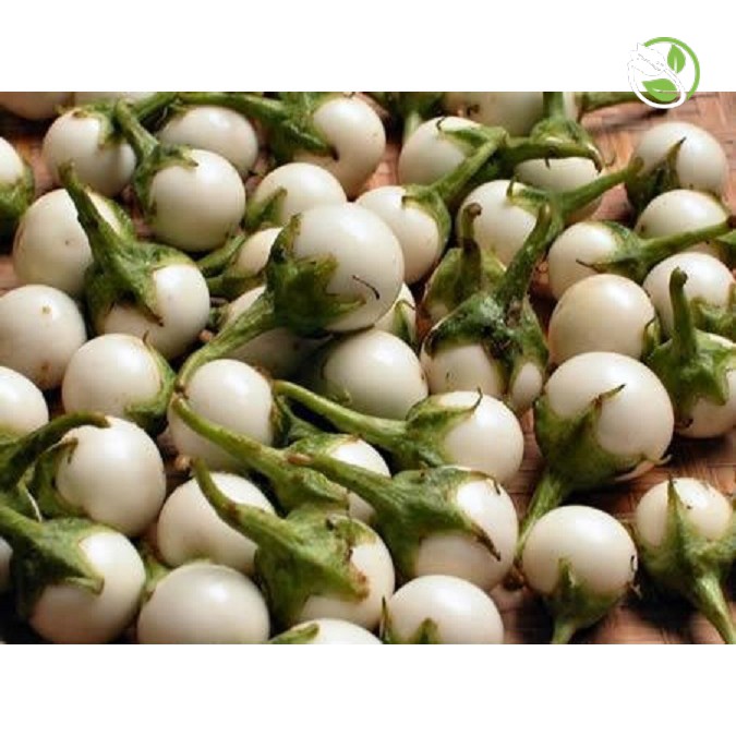 Hạt Giống Cà Pháo Trắng Cao Sản Phú Nông - Gói 0.5g - F1 Small White Eggplant PHU ...