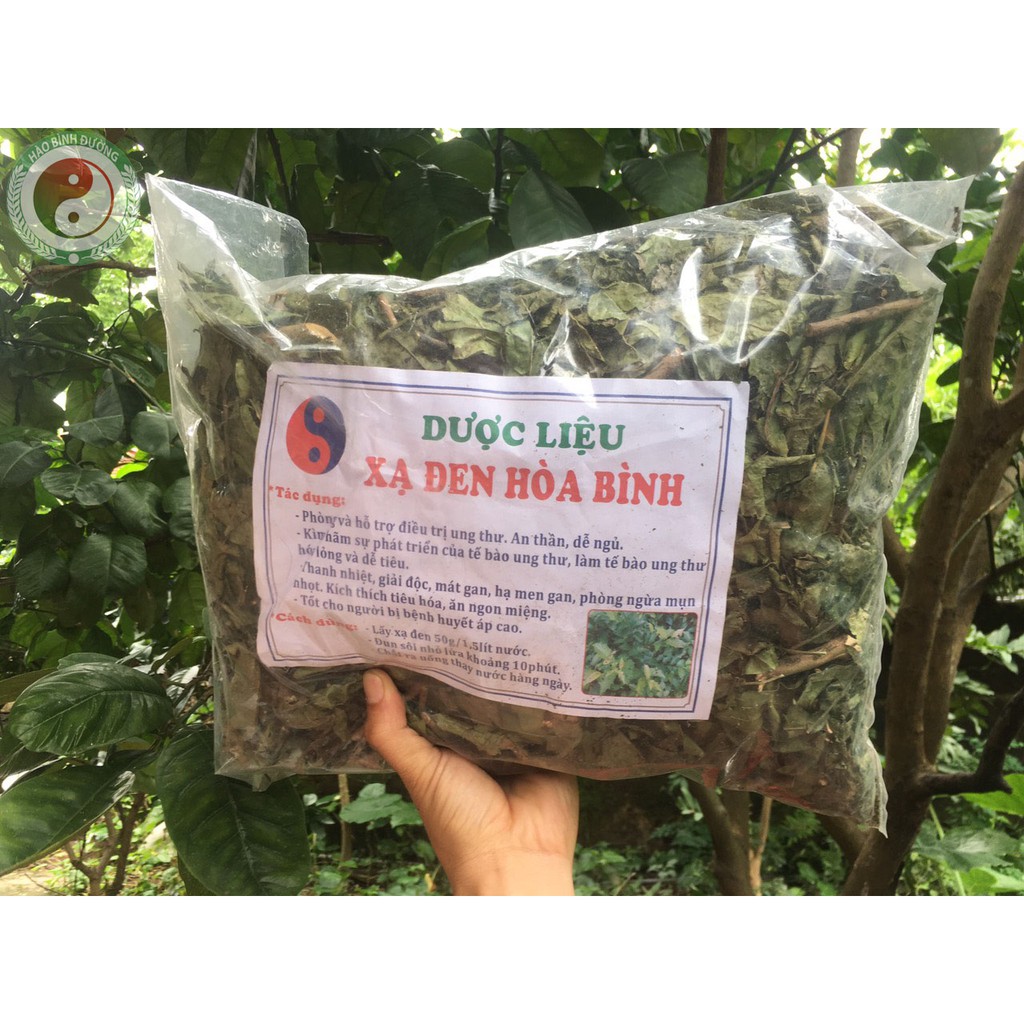 [Tổng Kho] 1kg Lá Xạ Đen Khô Hoà Bình Giúp Tiêu Viêm Giải Độc | BigBuy360 - bigbuy360.vn
