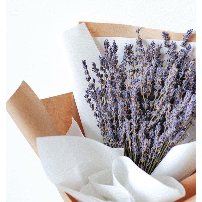 Hoa Lavender ❤️FREESHIP❤️Hoa Oải Hương Khô Decor Nhà Siêu Xinh