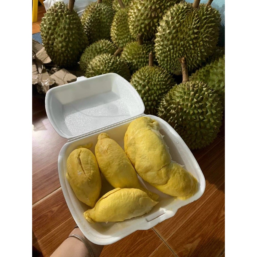 (BAO CƠM) SẦU RIÊNG RI 6 - THÁI - CƠM 500GRAM - BAO ĂN