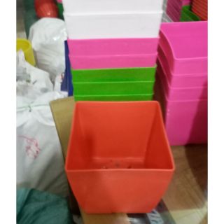 Sét 20 chiếc chậu trồng cây hoa vuông 20cm