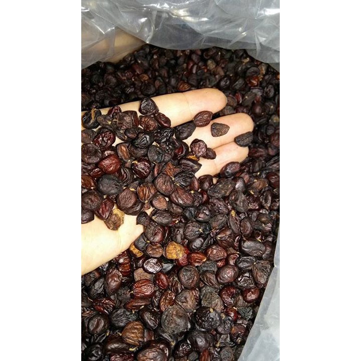 100G HẠT DỔI RỪNG