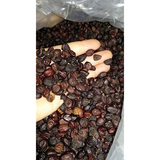 100G HẠT DỔI RỪNG