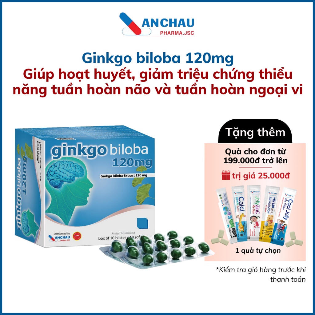 Viên uống bổ não GINKGO BILOBA 120MG bổ sung Vitamin 3B B1 B6 B12 tăng chức năng não bộ, hệ thần kinh - An Châu