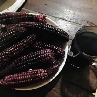 Hạt giống ngô đen