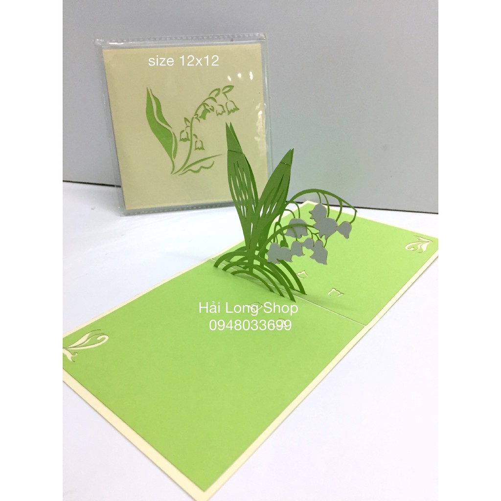 Hoa Lan - Orchid - Flower - Thiệp 3D | BigBuy360 - bigbuy360.vn