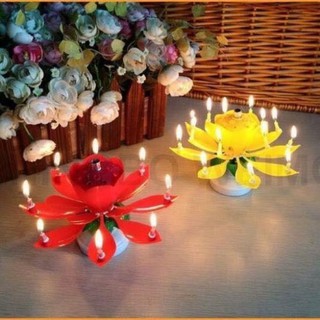 NẾN SINH NHẬT 3D TỰ ĐỘNG - Nến nở hoa (Đang khuyến mại)