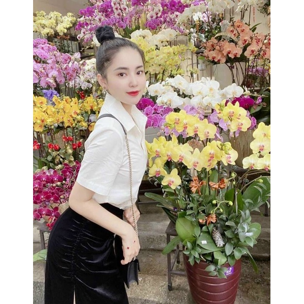 Áo sơmi trắng ngắn tay trơn