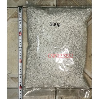 1kg đá PERLITE ( ĐÁ TRÂN CHÂU ) đủ size