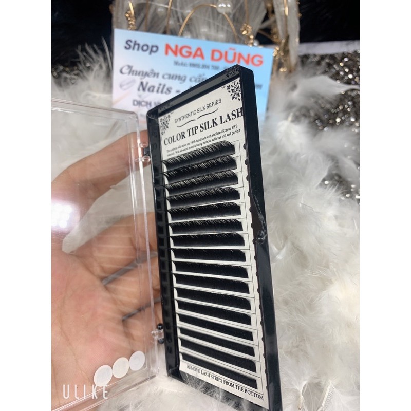 Mi color tip silk lash dày 0,12