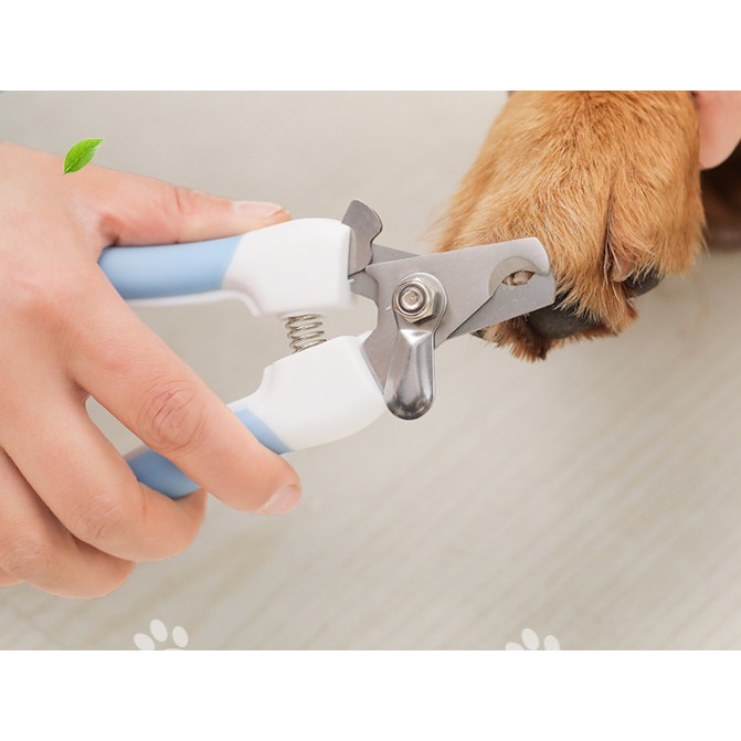 Bộ dụng cụ cắt móng cho thú cưng