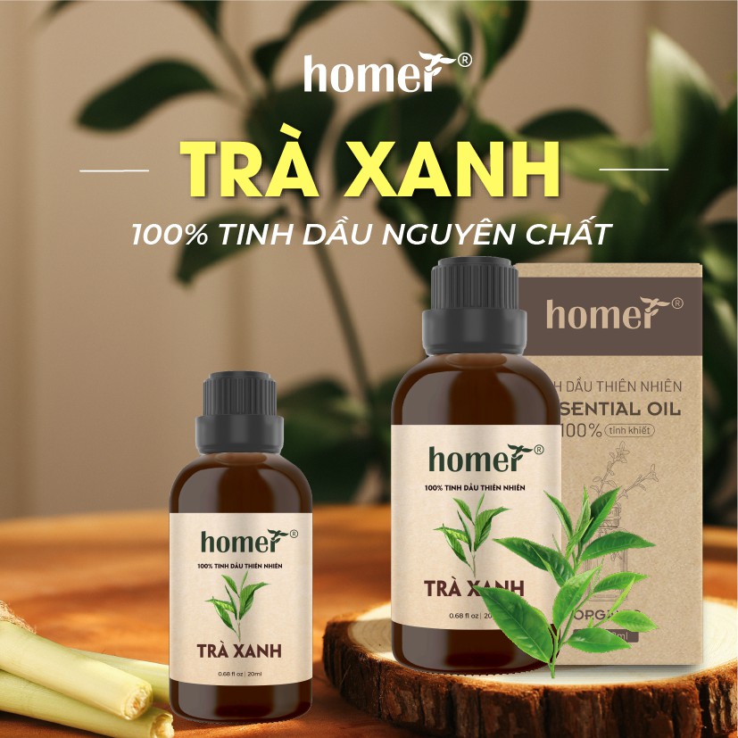 Tinh dầu Trà Xanh Bảo Lộc Homer 500ML/ 1L - Green Tea Essential Oi - đạt chuẩn chất lượng kiểm định