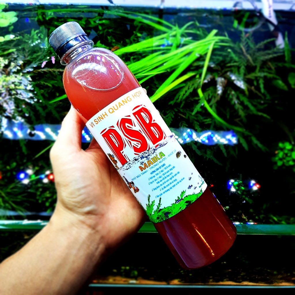 Vi Sinh PSB MAIKA | Vi sinh quang hợp làm sạch nước - Khử mùi tanh - Tạo môi trường có lợi cho cá tép