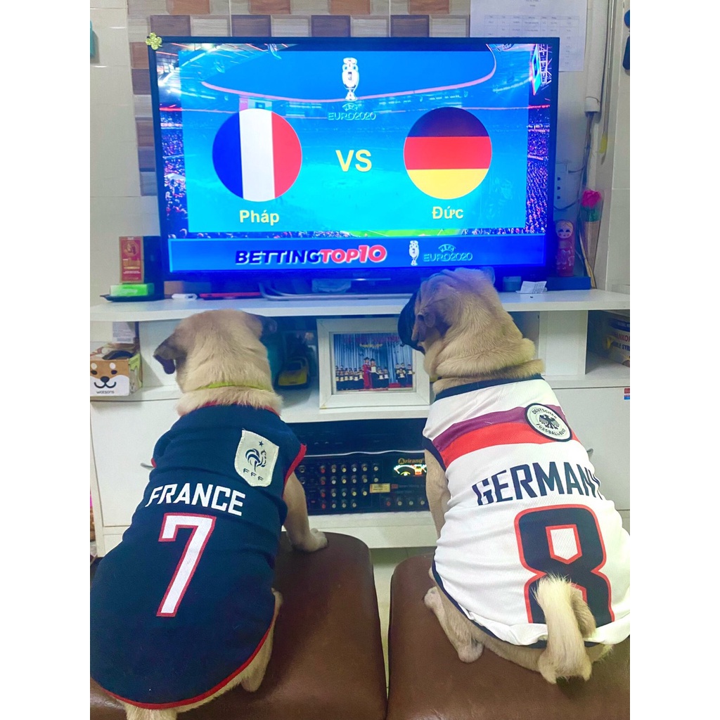 Áo không tay xinh xắn cho thú cưng (0.5-45Kg)