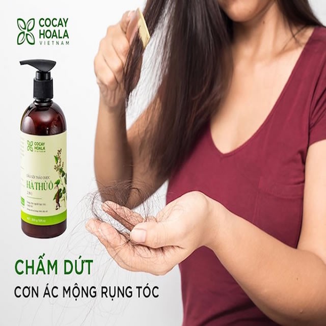 Dầu Gội Thảo Dược Hà Thủ Ô Giảm Rụng Tóc, Giảm Bạc Tóc, Kích Thích Sắc Tố Mầm Tóc Làm Đen Tóc- Lizan