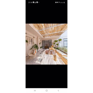 Cành cây khô gỗ tràm làm Macrame