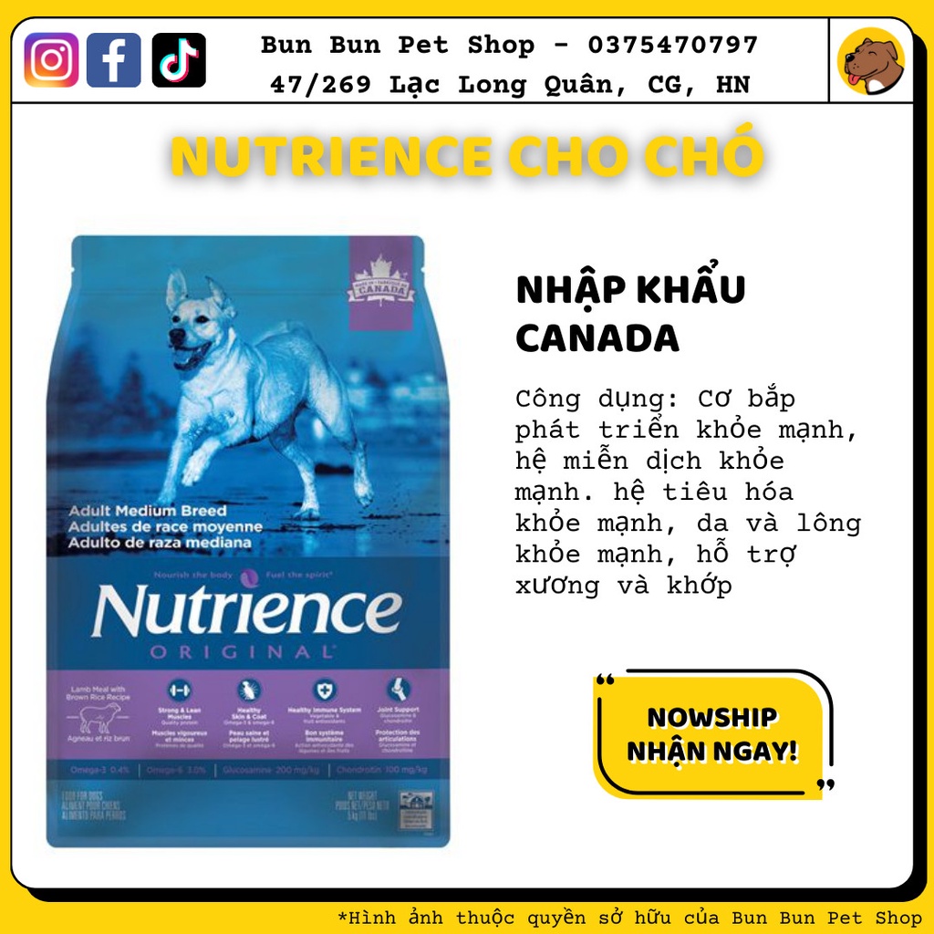 (11,5kg bao lớn) Hạt khô Nutrience Original Medium Adult cho chó