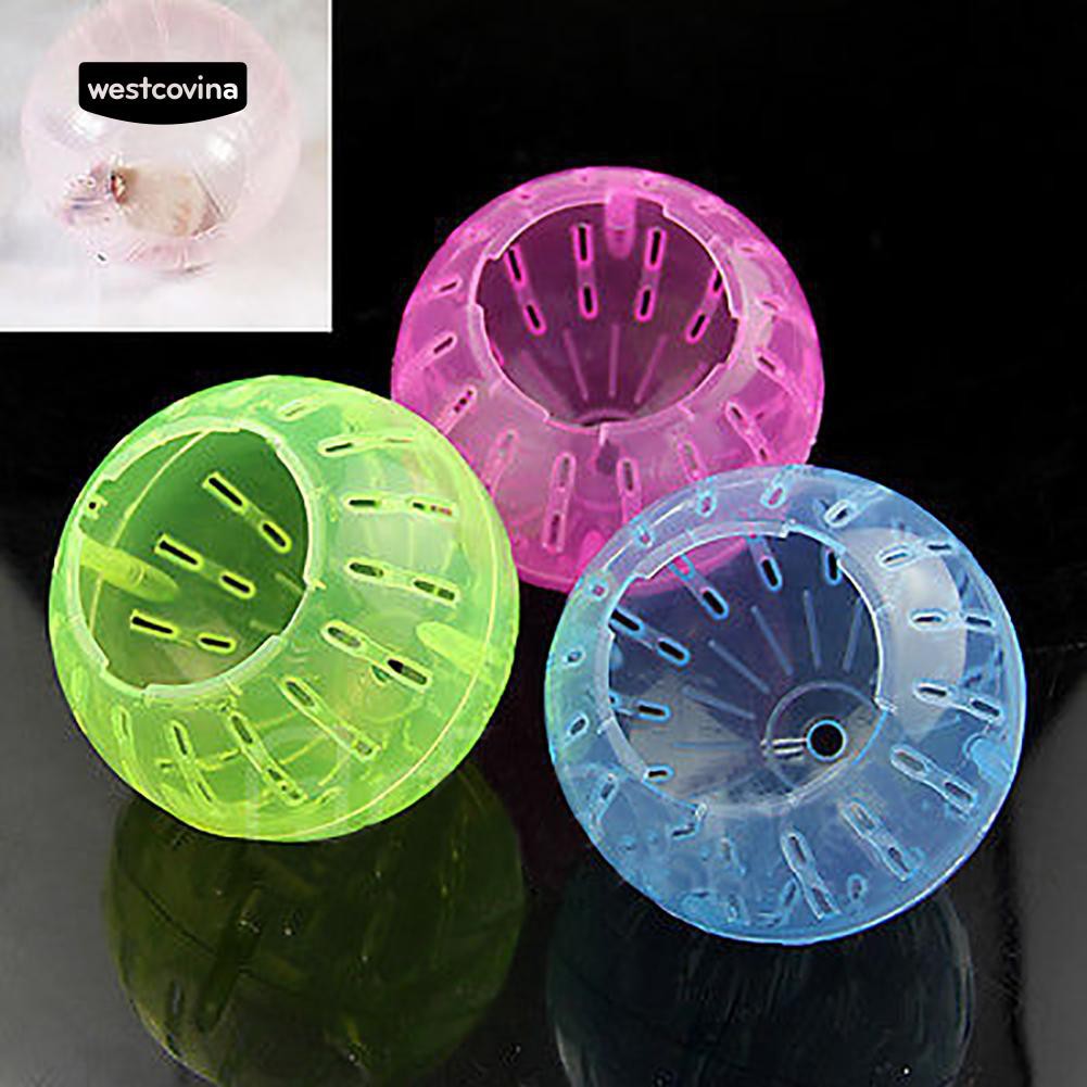 Quả Bóng Đồ Chơi Nhựa Cho Chuột Hamster Vận Động