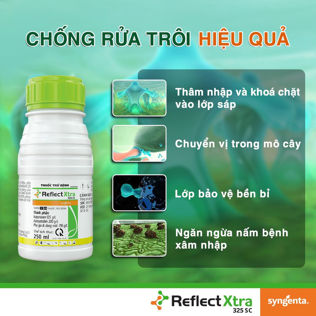 Chế phẩm Reflect Xtra 325SC - Quản lý khô vằn, lem lép hạt cho cây