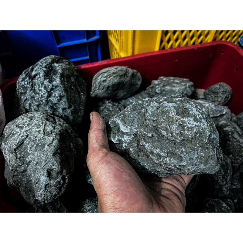 ĐÁ CUỘI ĐEN PHAN THIẾT SIÊU VÂN (1KG)| Trang trí bể Thủy sinh, Biotope, Blackwater, Iwagumi