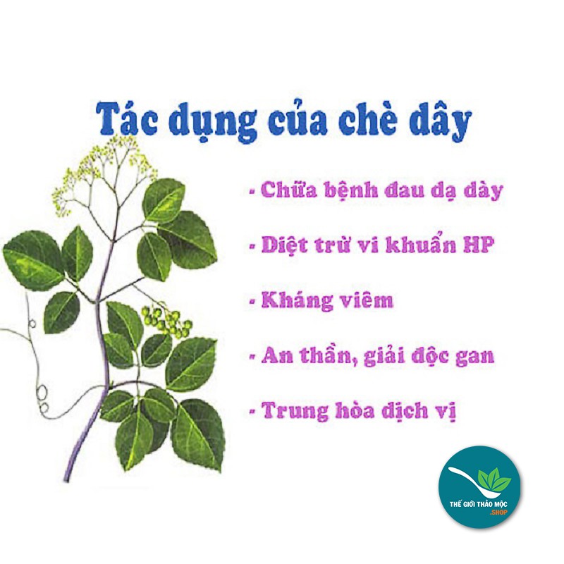 Chè dây Cao Bằng 1 KG -TM001