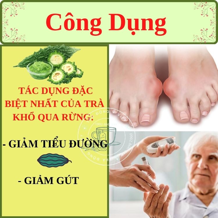 TRÀ KHỔ QUA RỪNG - 60 Túi Lọc, Thanh Nhiệt, Giảm Gút, Giảm Tiểu Đường, Trà Túi Lọc Tiện Lợi