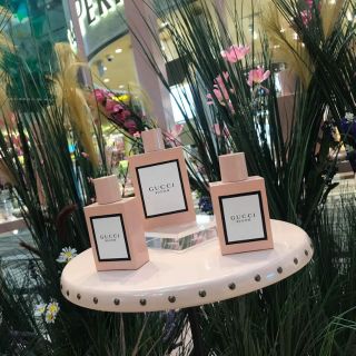 Nước hoa Gucci Bloom.