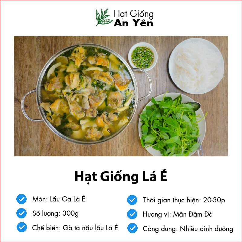 Hạt giống Lá É Húng Quế Trắng, thu hoạch sớm, dễ trồng, nảy mầm cao, sinh trưởng khoẻ