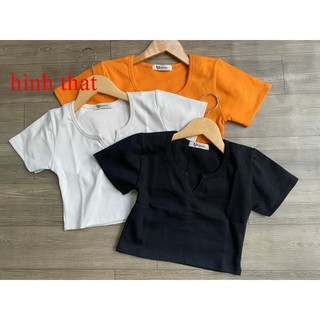 ÁO CROPTOP THUN GÂN BODY CỔ V