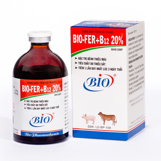 Bio Fer + B12 20% 100ml phòng tiếu máu, thiếu sắt ở heo mẹ, dê con