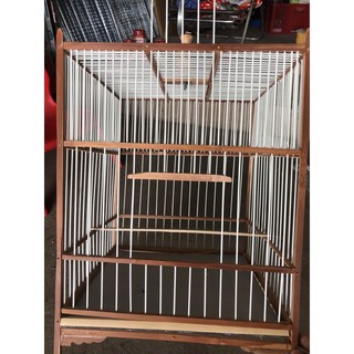 lồng ép mộc chào mào và choè nan phíp