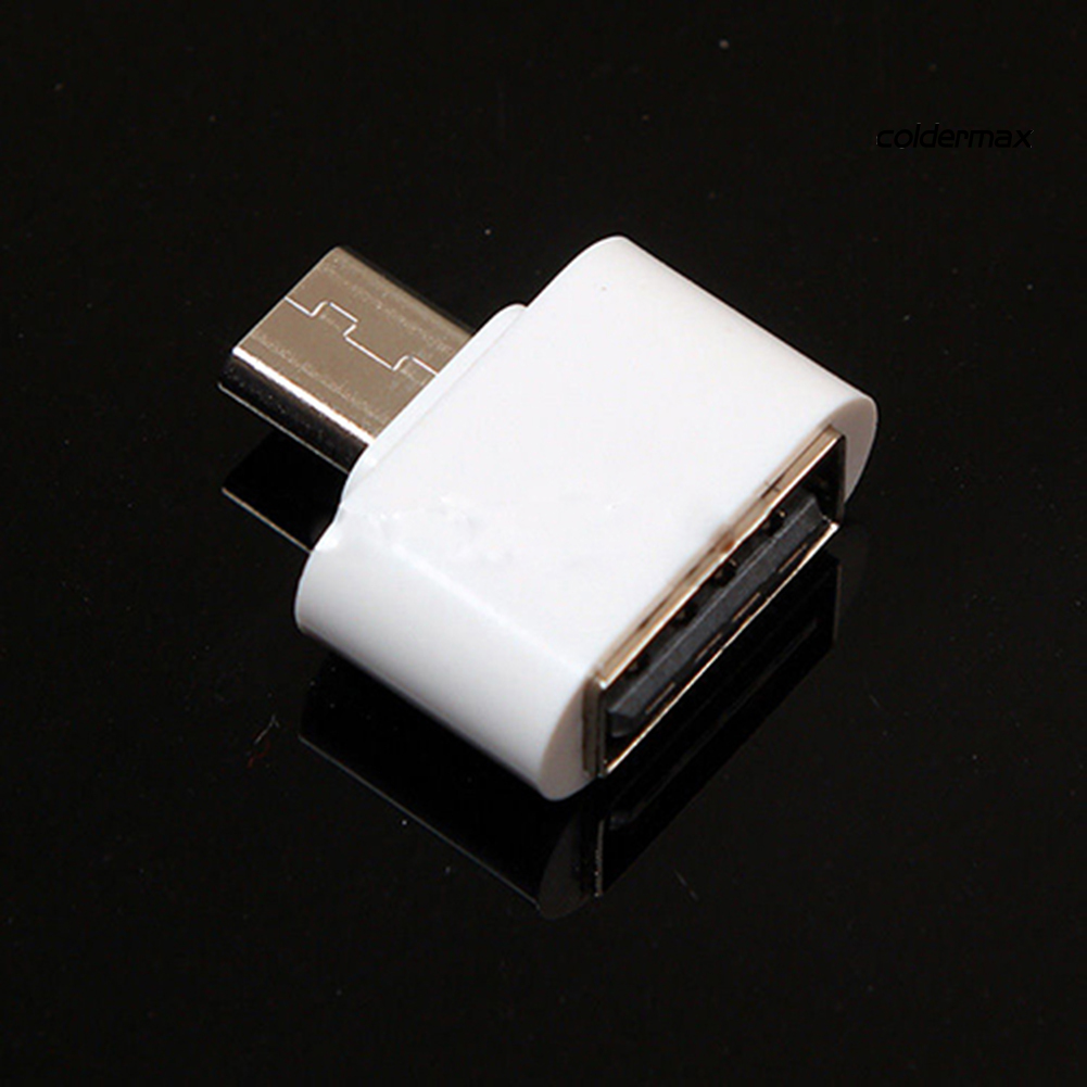 Bộ 2 Đầu Chuyển Đổi Đầu Cắm Micro USB Sang USB 2.0 OTG Cho Điện Thoại Android Và Máy Tính Bảng