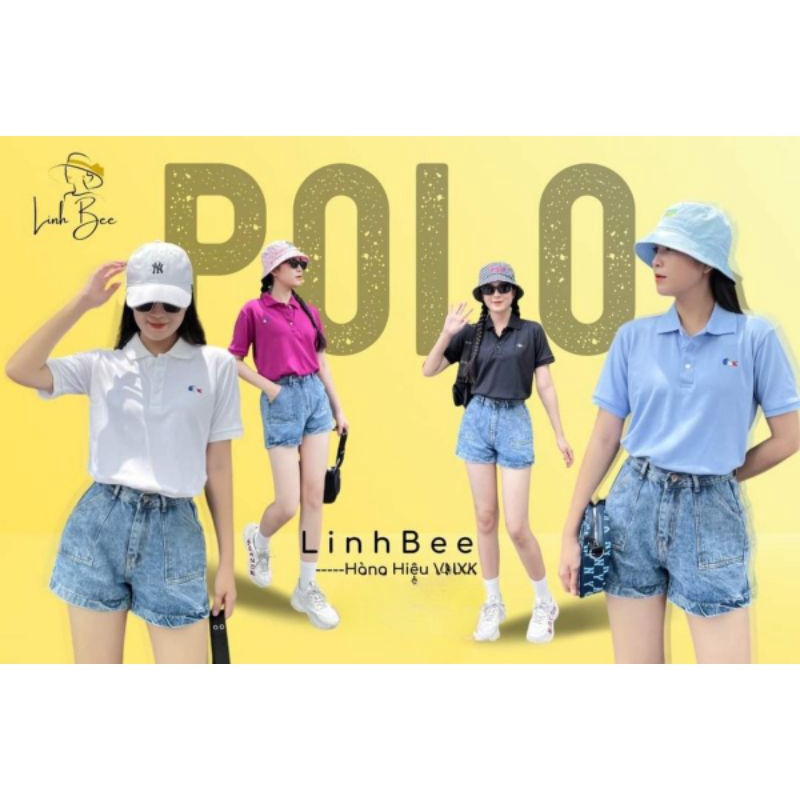 Áo thun có cổ, tay bo, áo cá sấu, polo nữ