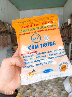 [Cám Trứng] Cám Trứng Ba Vì (Đỏ)